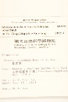 裂葉蔓黃菀藏品圖，第2張