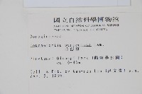 冷飯藤藏品圖，第2張