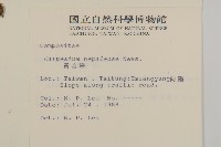 黃金珠藏品圖，第2張