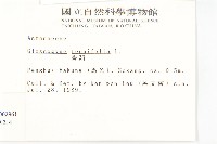 香茹藏品圖，第2張