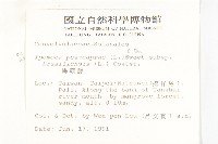 馬鞍藤藏品圖，第2張