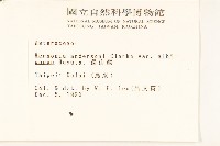 過山龍藏品圖，第2張