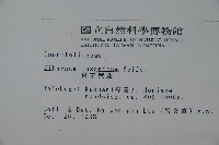 呂宋莢迷藏品圖，第2張