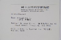 木蠟樹、山漆藏品圖，第2張