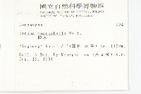 梜木藏品圖，第2張