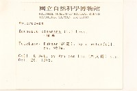 一枝香藏品圖，第2張