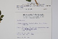 三葉五加藏品圖，第2張