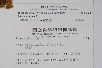 臺灣藤漆藏品圖，第2張