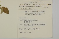 臺灣鬼督郵藏品圖，第2張