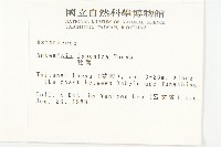 牡蒿藏品圖，第2張