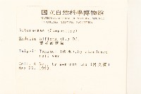 雙花蟛蜞菊藏品圖，第2張