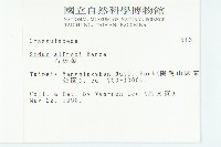 石板菜藏品圖，第2張