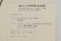 黃金珠藏品圖，第2張