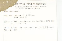 葶藶藏品圖，第2張