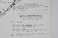 細纍子草藏品圖，第2張