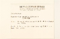 腺葉澤蘭藏品圖，第2張