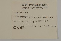 臺灣蠅子草藏品圖，第2張