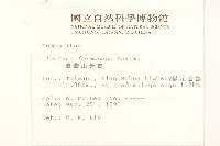 臺灣山苦苣藏品圖，第2張