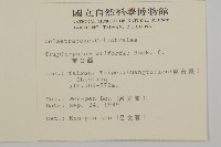 雷公藤藏品圖，第2張