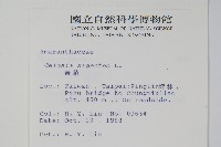 青葙藏品圖，第2張