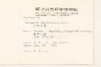 野茼蒿藏品圖，第2張