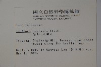 忍冬、金銀花藏品圖，第2張