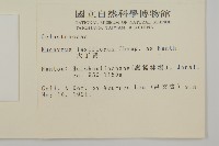 大丁黃藏品圖，第2張