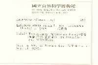 一枝黃花藏品圖，第2張