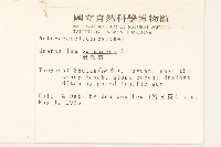 鼠麴舅藏品圖，第2張