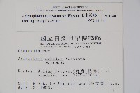 玉山沙參藏品圖，第2張