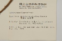 阿里山鬼督郵藏品圖，第2張