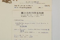 玉山抱莖籟簫藏品圖，第2張