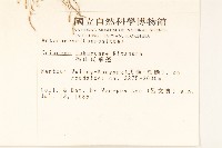 福山氏飛蓬藏品圖，第2張