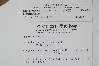 大本山梗菜藏品圖，第2張