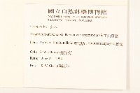 玉山飛蓬藏品圖，第2張