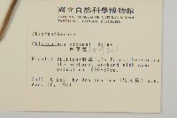 臺灣及己藏品圖，第2張