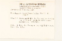 飛機草藏品圖，第2張