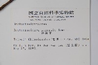 鐘萼木藏品圖，第2張