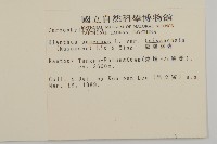 臺灣瞿麥藏品圖，第2張