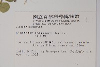 風不動藏品圖，第2張