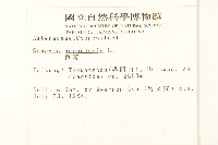 黃菀藏品圖，第2張