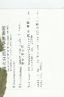 薯豆藏品圖，第2張