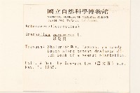 鼠麴舅藏品圖，第2張