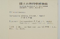 草珊瑚、紅果金粟蘭藏品圖，第2張