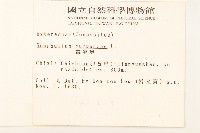 鼠麴舅藏品圖，第2張