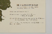 下田菊藏品圖，第2張