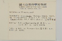 尼泊爾籟簫藏品圖，第2張