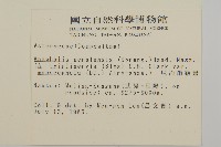 尼泊爾籟簫藏品圖，第2張