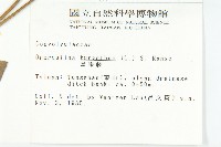 盒果藤藏品圖，第2張