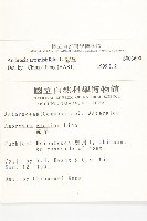 豬草、瘤果菊藏品圖，第2張